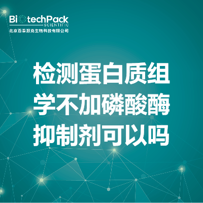 检测蛋白质组学不加磷酸酶抑制剂可以吗