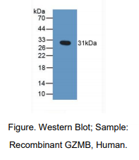 https://msimg.bioon.com/bionline/goods-no-pic.png