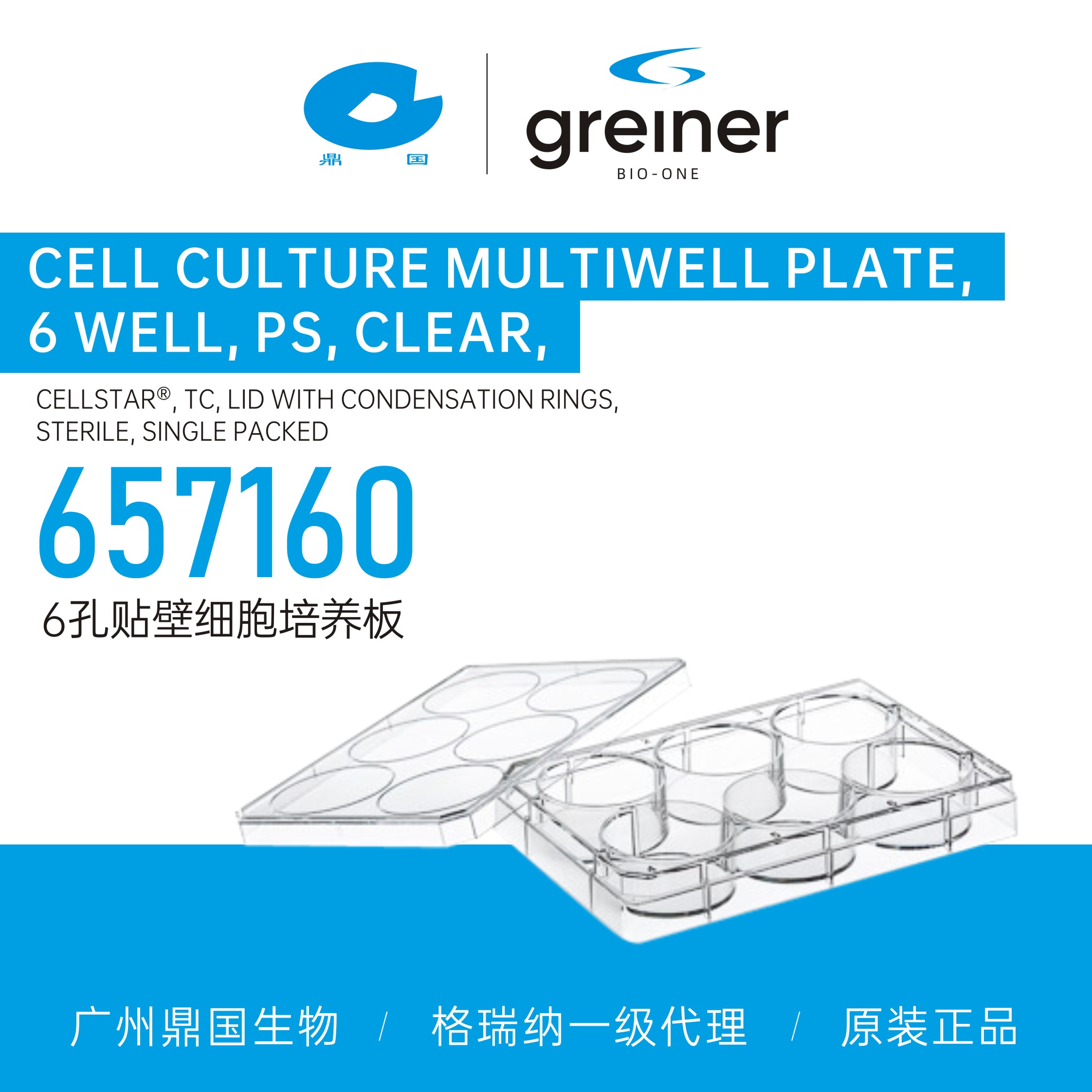 Greiner格瑞纳6孔贴壁细胞培养板657160