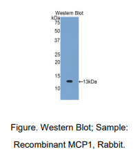 https://msimg.bioon.com/bionline/goods-no-pic.png