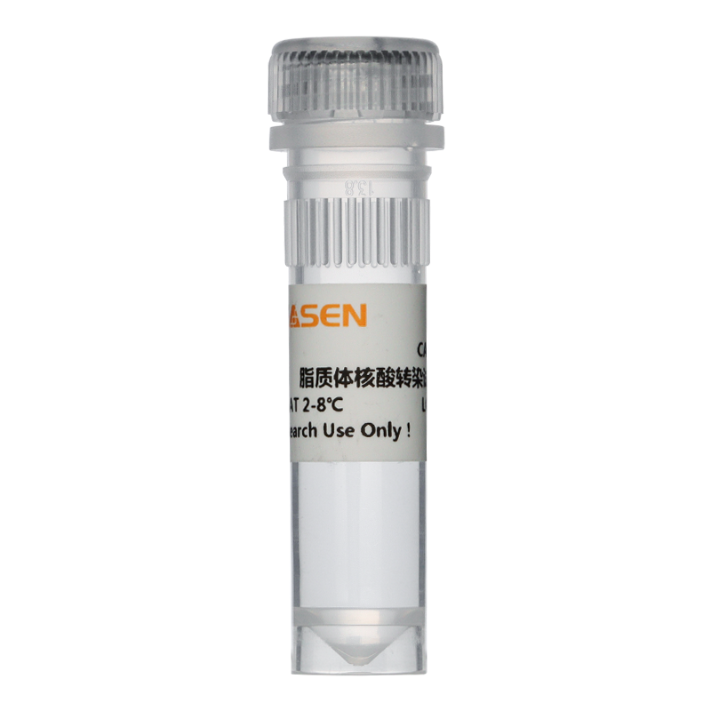 Hieff TransTM Liposomal Transfection Reagent 脂质体核酸转染试剂