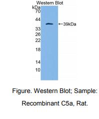 https://msimg.bioon.com/bionline/goods-no-pic.png