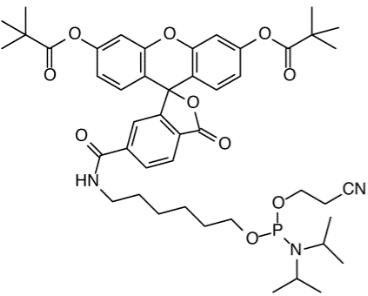 5'-Fluorescein CE Phosphoramidite (6-Fam Amidite)