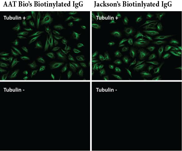 https://img.medsci.cn/e73eefcea40976357f460123cbf1e819c54e5106c9b457225be13b1cbc991aff.png