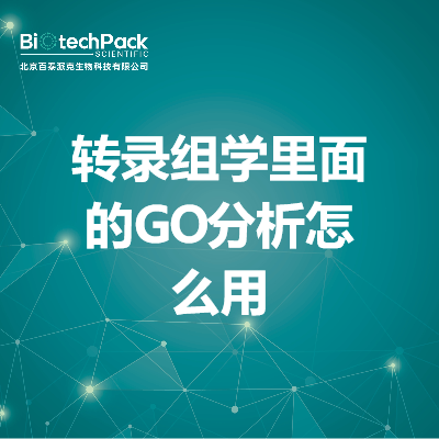 转录组学里面的GO分析怎么用