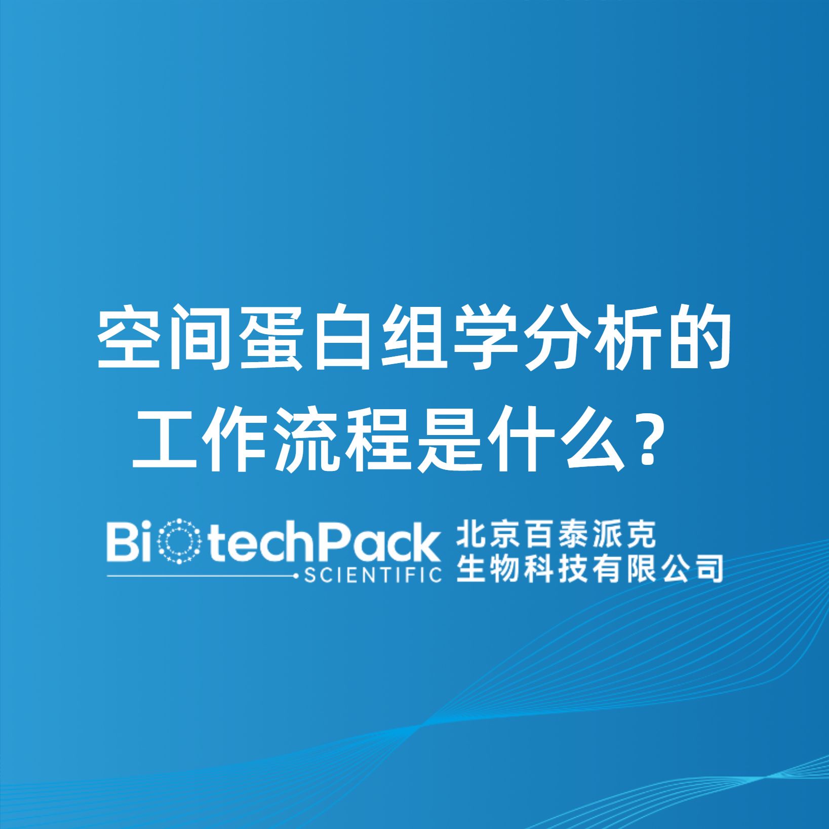 空间蛋白组学分析的工作流程是什么？
