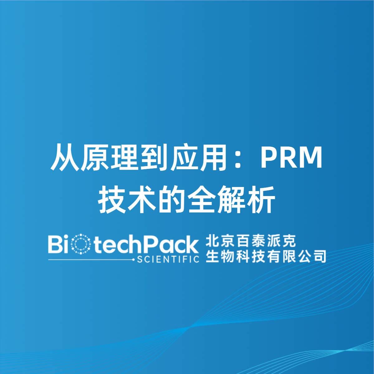 从原理到应用：PRM技术的全解析