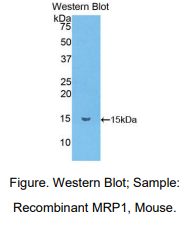 https://msimg.bioon.com/bionline/goods-no-pic.png