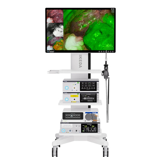 https://img.medsci.cn/e1ea984a40cb6757fe995d13e79ab2504899fd5e25198ddba07948637da7e21e.jpg