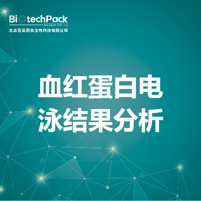 血红蛋白电泳结果分析