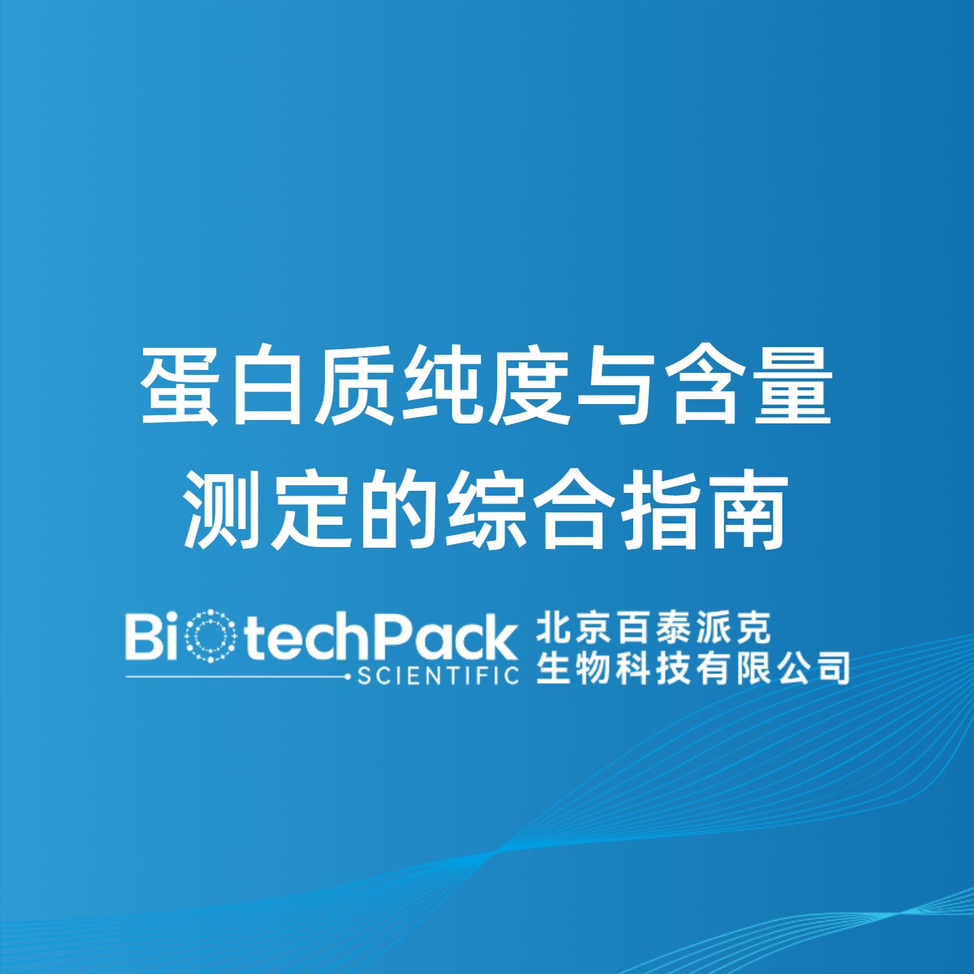 蛋白质纯度与含量测定的综合指南