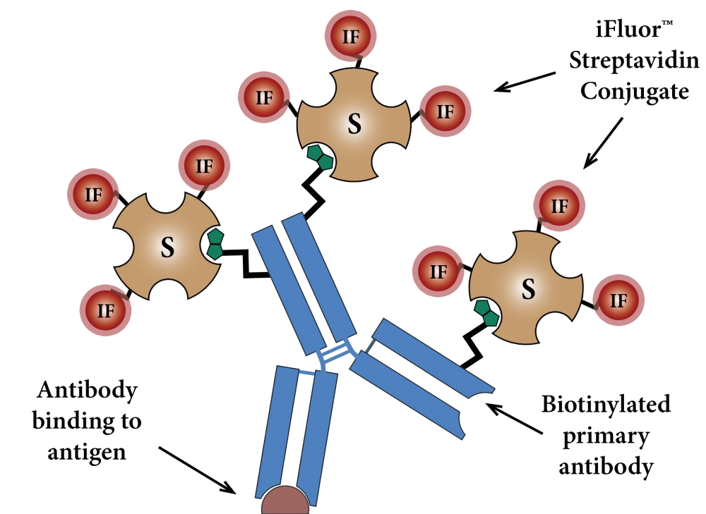 https://img.medsci.cn/e73eefcea40976357f460123cbf1e819c54e5106c9b457225be13b1cbc991aff.png