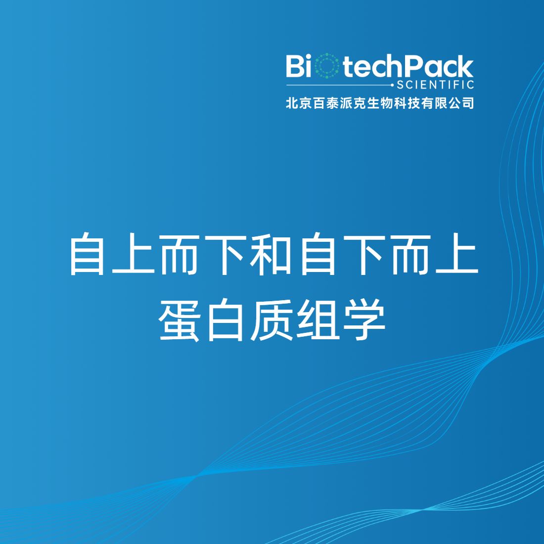 自上而下和自下而上蛋白质组学