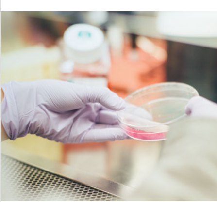 抗新冠病毒药物体外细胞毒性药效评价CC50检测