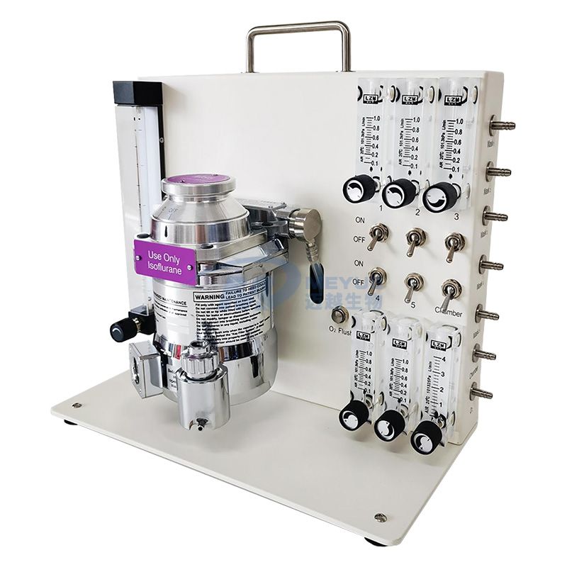 M5232多通道桌面式小动物麻醉机 