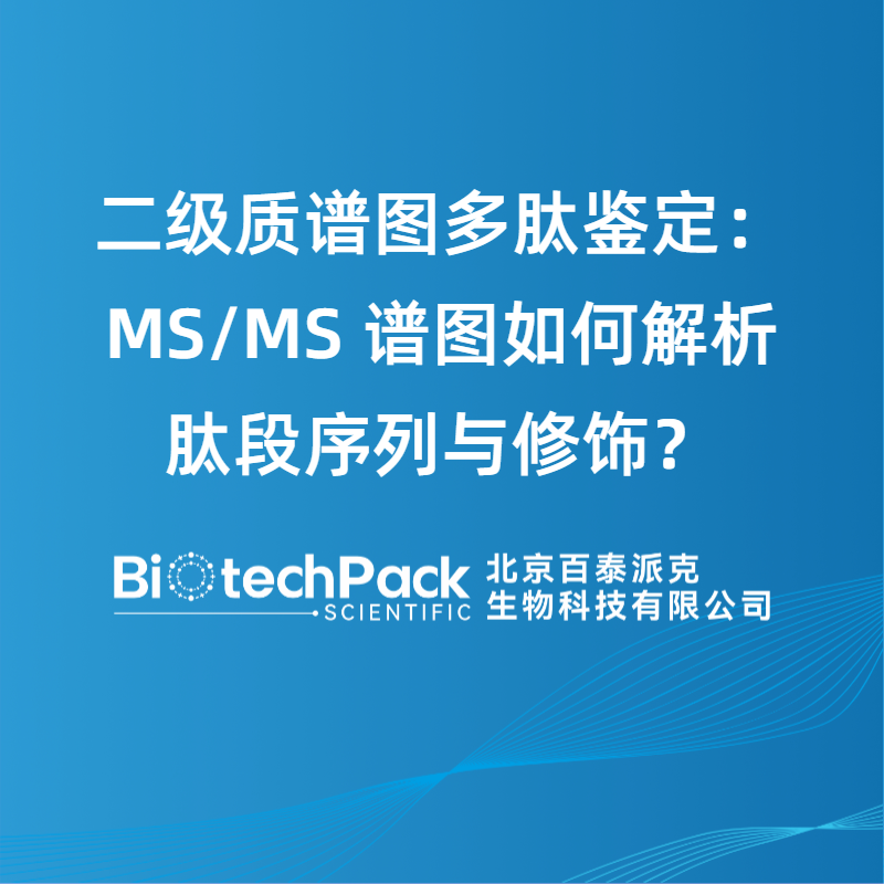二级质谱图多肽鉴定：MS/MS 谱图如何解析肽段序列与修饰？