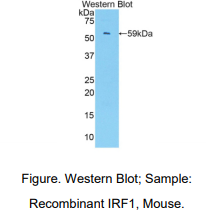 https://msimg.bioon.com/bionline/goods-no-pic.png