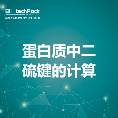 蛋白质中二硫键的计算