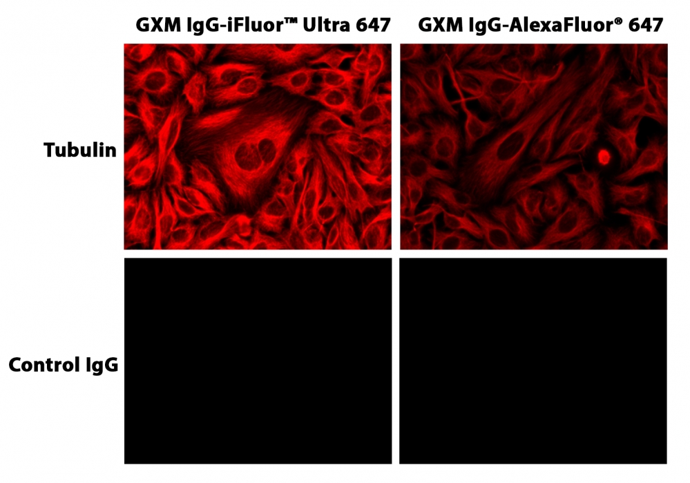 https://img.medsci.cn/e73eefcea40976357f460123cbf1e819c54e5106c9b457225be13b1cbc991aff.png