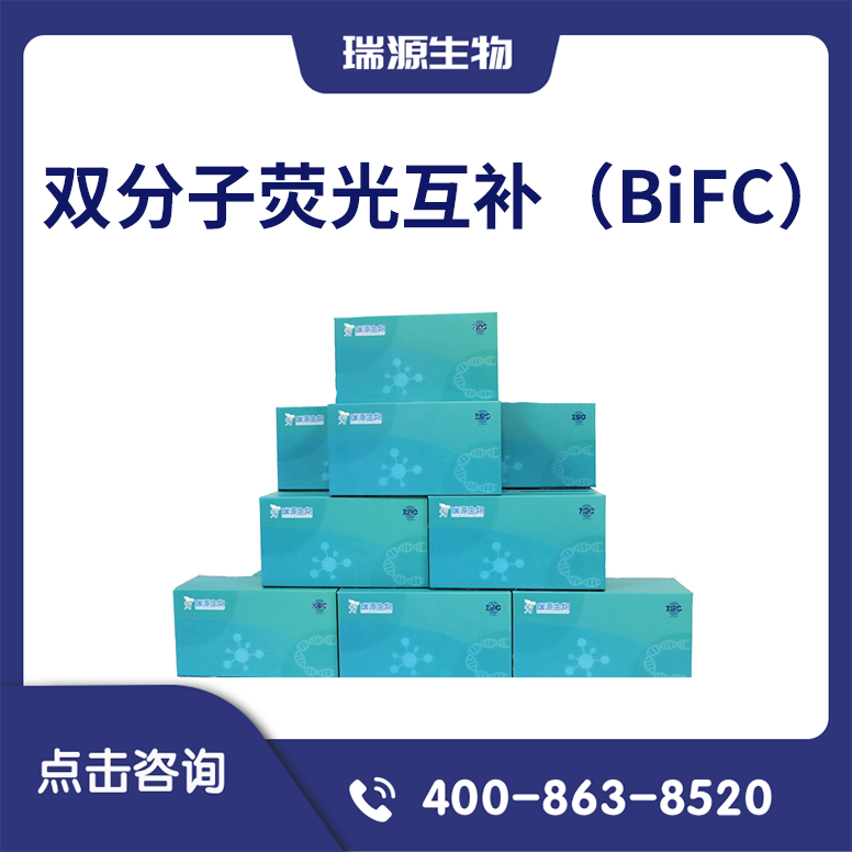 双分子荧光互补（BiFC）试剂盒