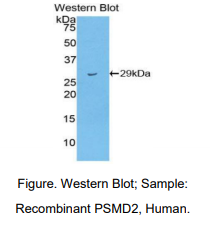 https://msimg.bioon.com/bionline/goods-no-pic.png