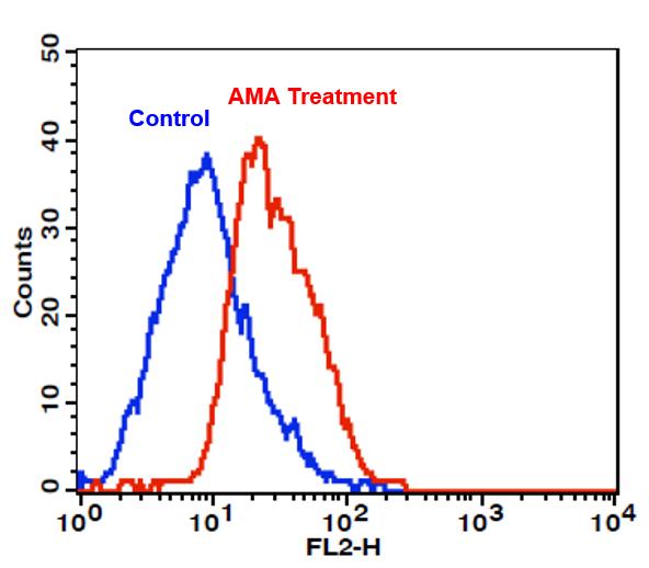 https://img.medsci.cn/e73eefcea40976357f460123cbf1e819c54e5106c9b457225be13b1cbc991aff.png