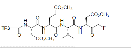 https://img.medsci.cn/e73eefcea40976357f460123cbf1e819c54e5106c9b457225be13b1cbc991aff.png