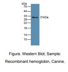 https://msimg.bioon.com/bionline/goods-no-pic.png