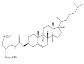 3’-Cholesteryl CPG