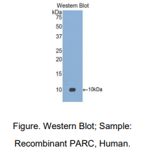 https://msimg.bioon.com/bionline/goods-no-pic.png