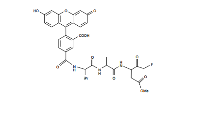 https://img.medsci.cn/e73eefcea40976357f460123cbf1e819c54e5106c9b457225be13b1cbc991aff.png