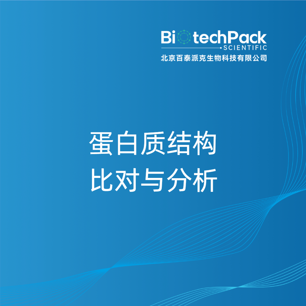 蛋白质结构比对与分析