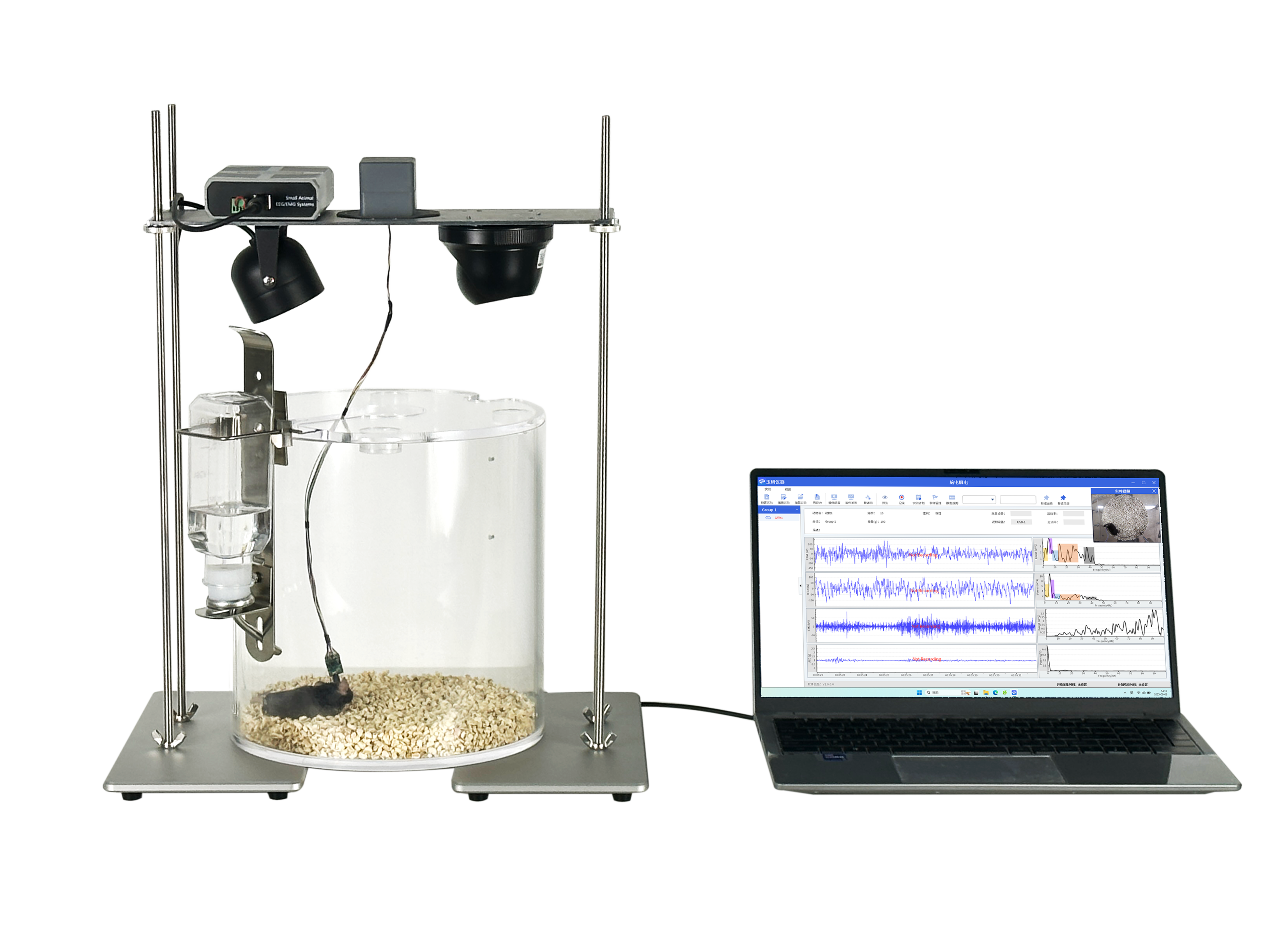 Pinnacle大小鼠脑电肌电（EEG&EMG）记录监测系统