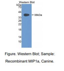 https://msimg.bioon.com/bionline/goods-no-pic.png