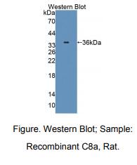 https://msimg.bioon.com/bionline/goods-no-pic.png