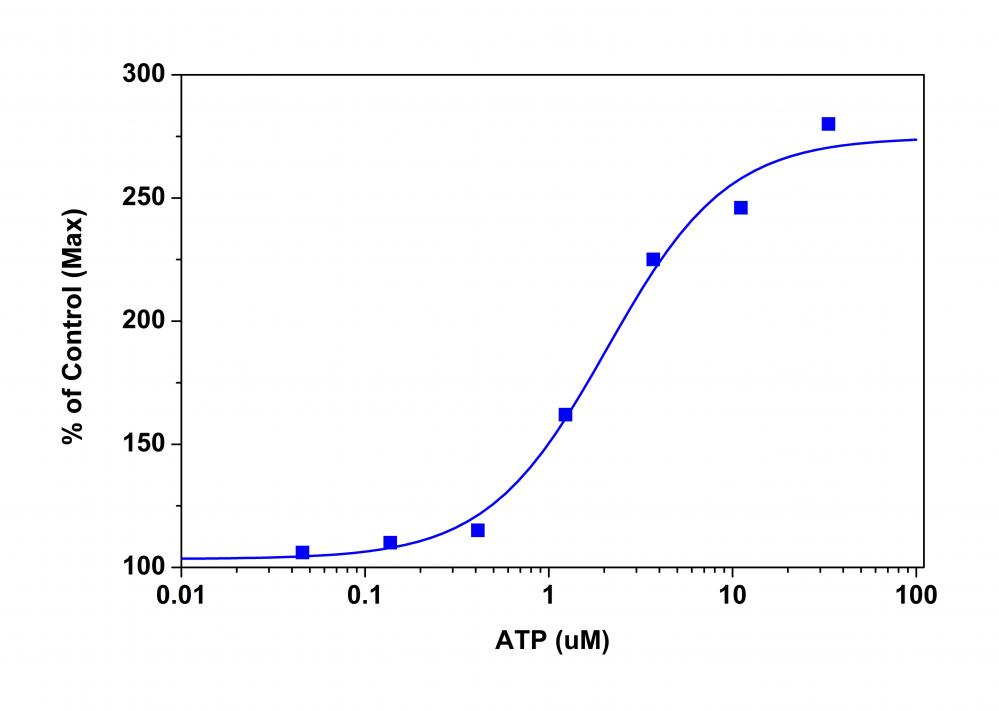 Amplite 荧光法铅离子定量试剂盒