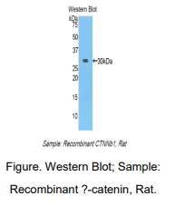 https://msimg.bioon.com/bionline/goods-no-pic.png