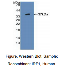 https://msimg.bioon.com/bionline/goods-no-pic.png