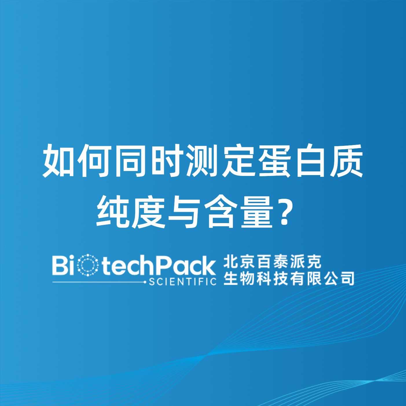 如何同时测定蛋白质纯度与含量？