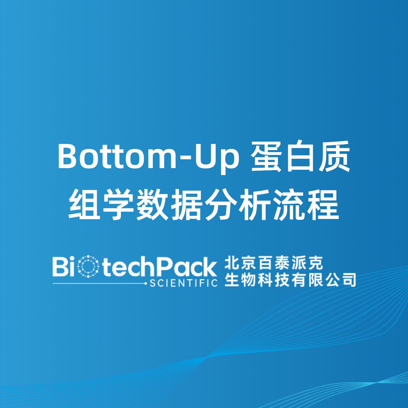 Bottom-Up蛋白质组学数据分析流程