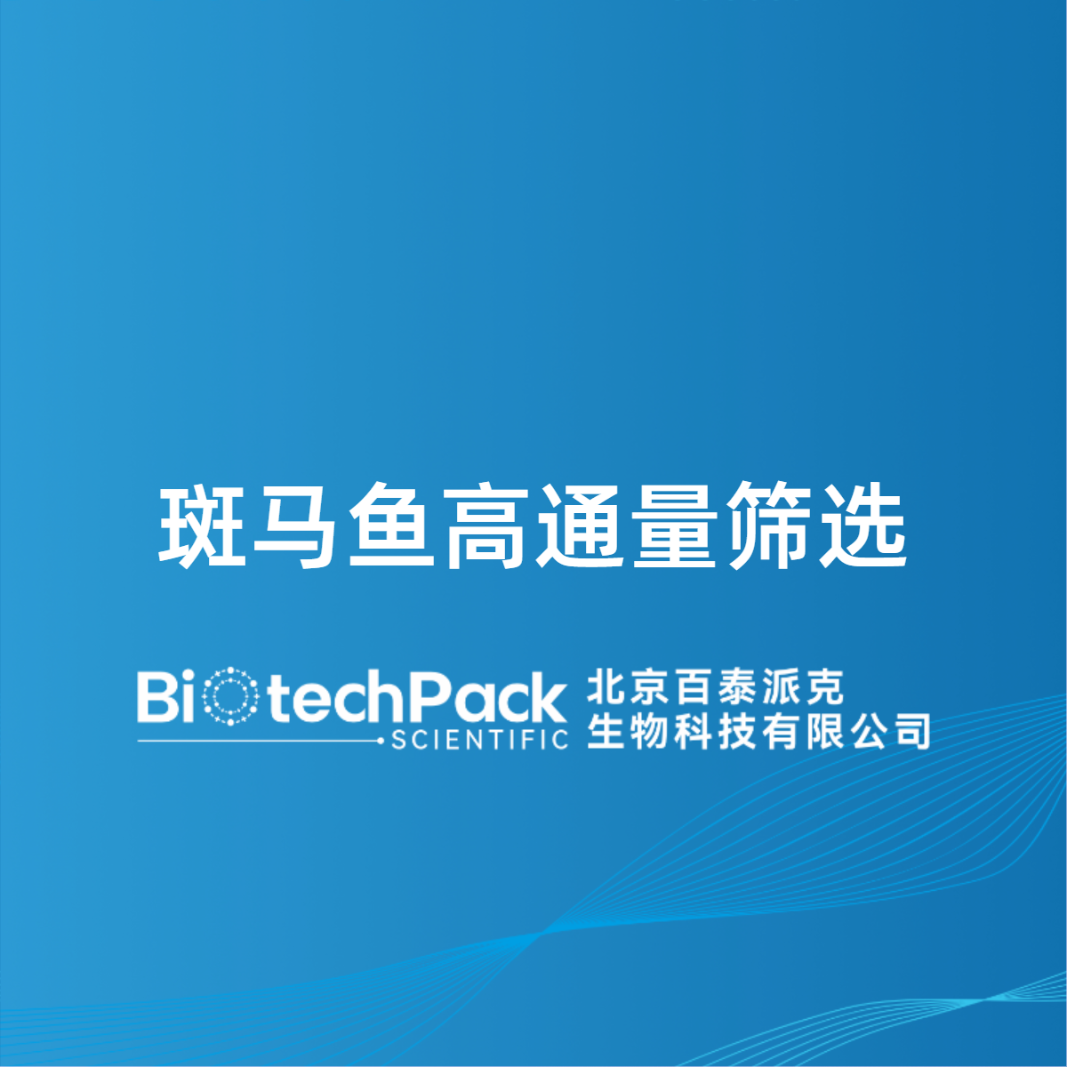 斑马鱼高通量筛选