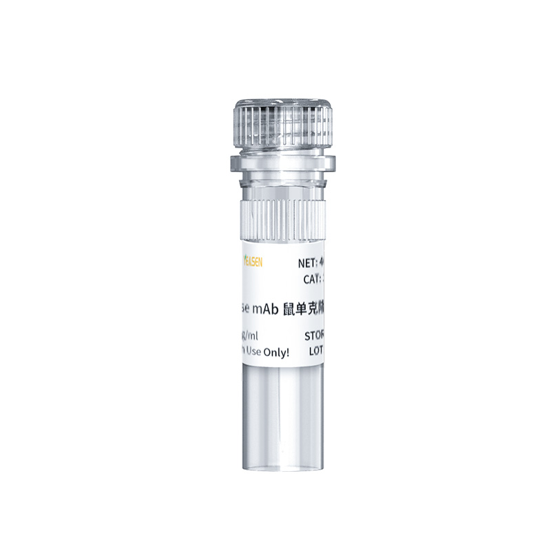 CD31 Mouse mAb