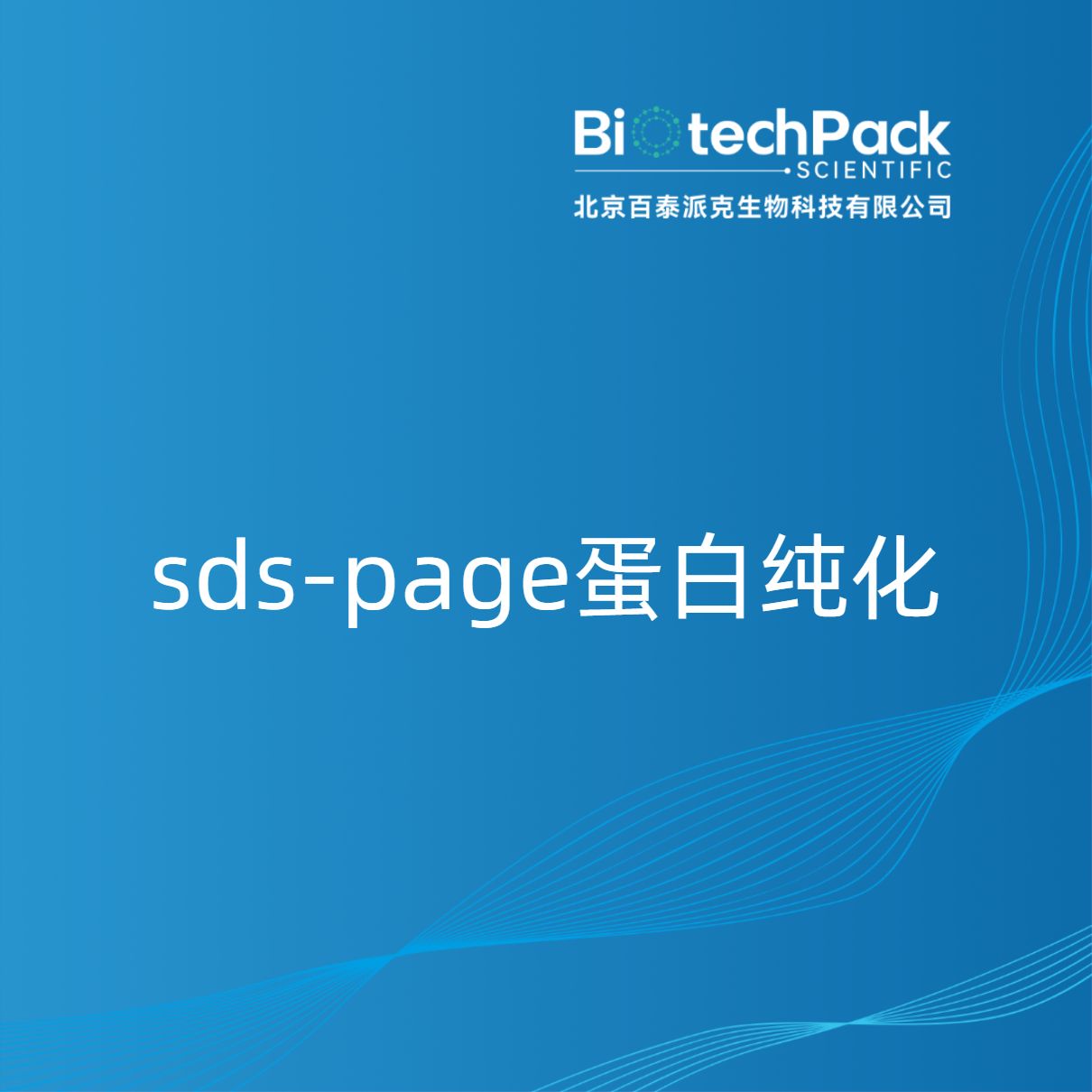 sds-page蛋白纯化