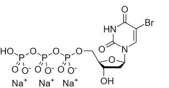 BrdUTP*10 mM溶于 TE Buffer*细胞增殖检测 CAS 102212-99-7