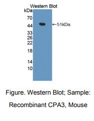 https://msimg.bioon.com/bionline/goods-no-pic.png