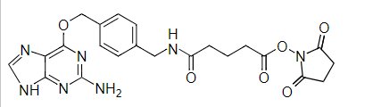 https://img.medsci.cn/e73eefcea40976357f460123cbf1e819c54e5106c9b457225be13b1cbc991aff.png