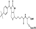 3’-Biotin CPG