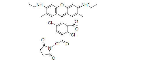 5-dR6G，琥珀酰亚胺酯