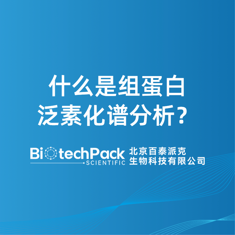 什么是組蛋白泛素化譜分析？