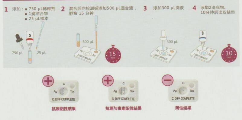 艰难梭菌快速检测服务